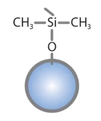 C1
